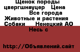 Щенок породы  цвергшнауцер › Цена ­ 30 000 - Все города Животные и растения » Собаки   . Ненецкий АО,Несь с.